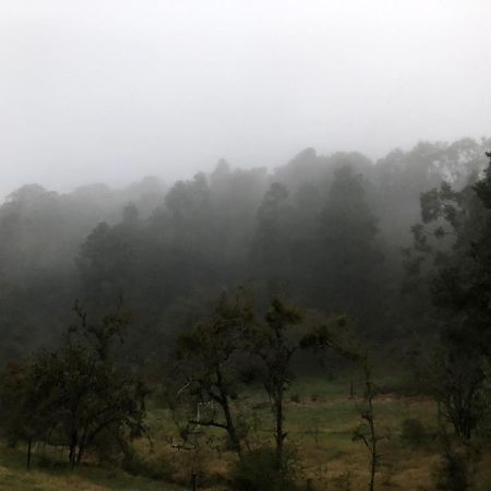 Cabana Romantica En El Bosque! Acaxochitlan ภายนอก รูปภาพ